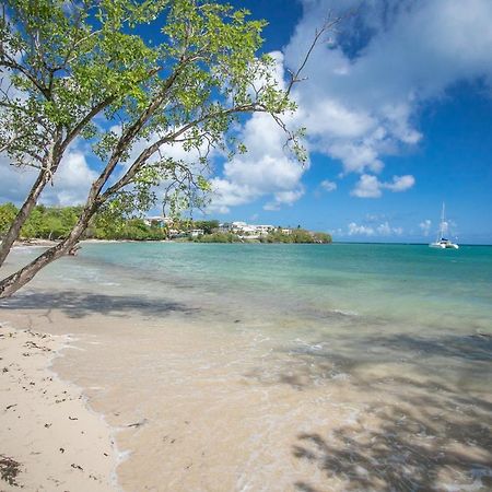 Bungalow Ti Banane Sainte-Luce Luaran gambar