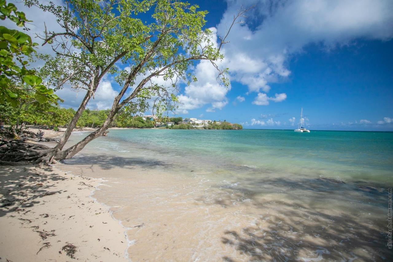 Bungalow Ti Banane Sainte-Luce Luaran gambar